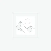 Streaming Entertainment